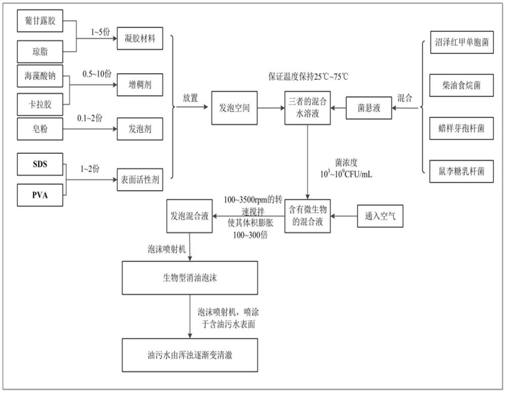 一种生物型消油泡沫及其制备方法