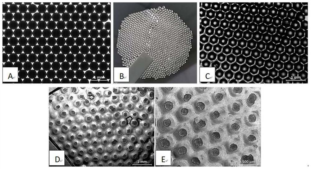 批量生产3D细胞球的培养基底的制备方法