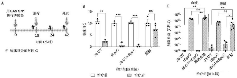 链球菌中毒性休克综合征