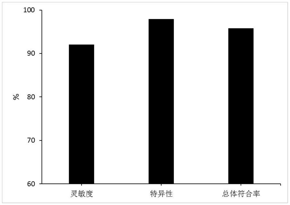 一种犬巴贝斯虫BcMSA1-BcSA1重组蛋白及其制备方法和应用