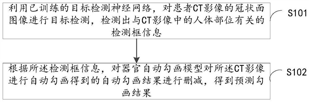 一种器官勾画方法及装置