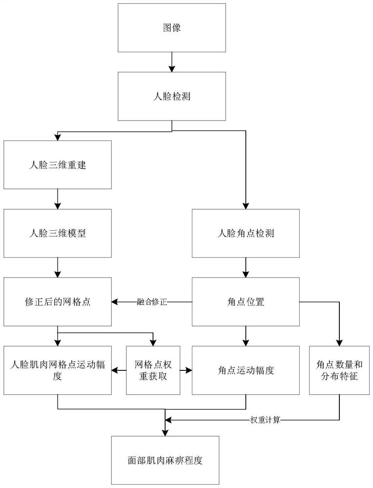 一种基于人脸面部肌肉运动特征的面部神经麻痹疾病检测方法