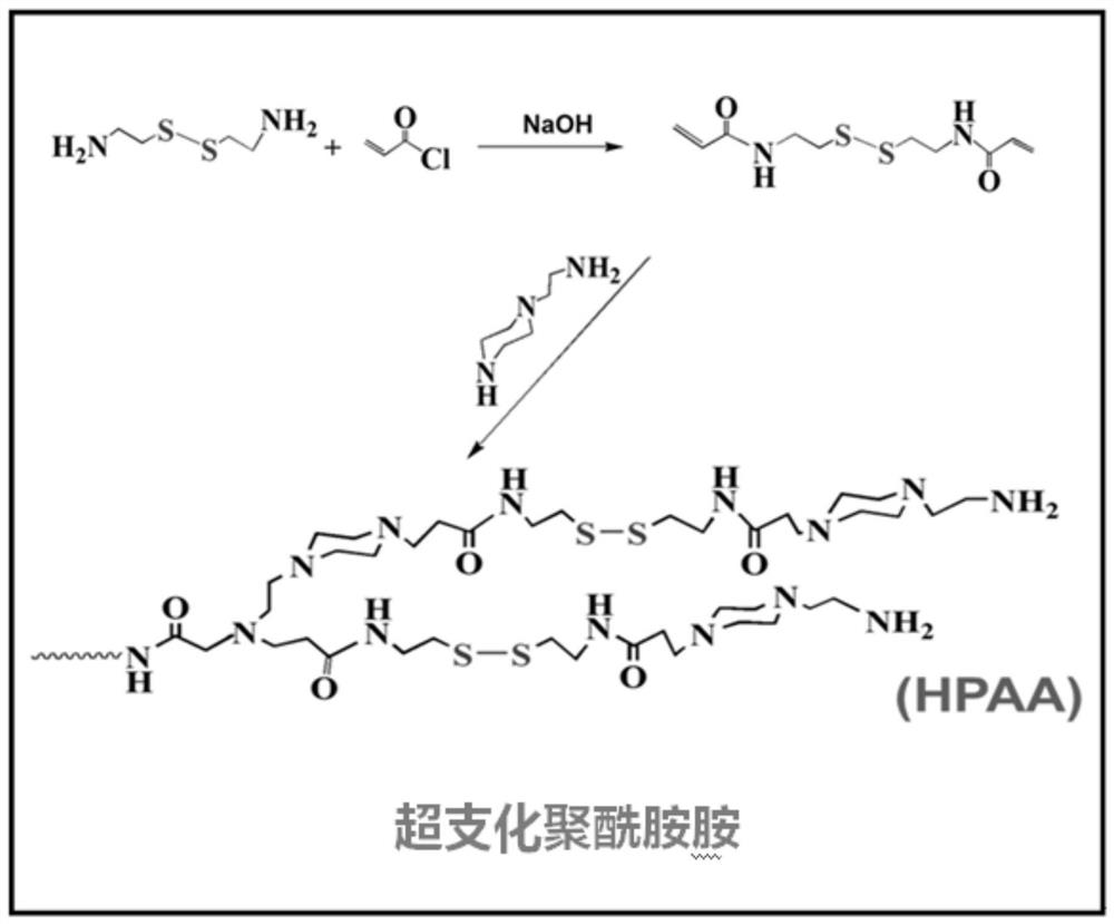 一种超支化聚酰胺-胺HPAA及其制备方法和应用