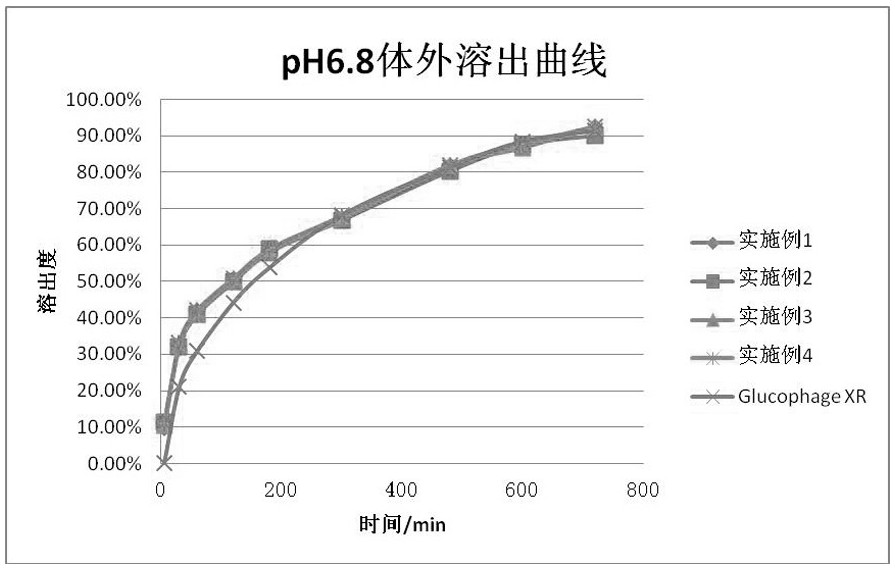 一种盐酸二甲双胍制剂及其制备方法