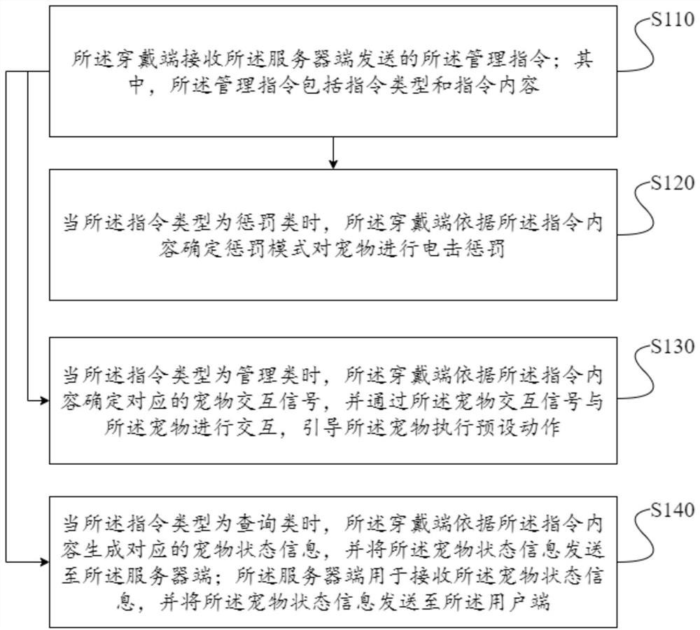 一种宠物管理方法、装置、系统、设备及存储介质