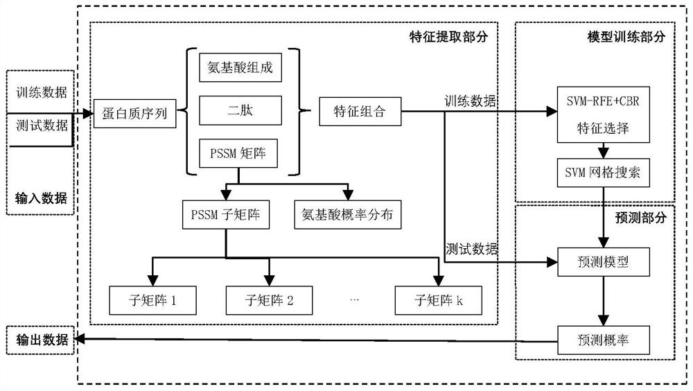 基于局部进化信息的DNA结合蛋白预测方法