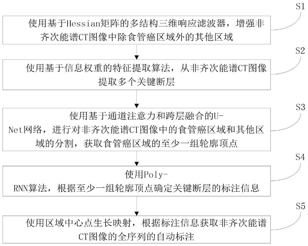 非齐次三维食管癌能谱CT弱监督自动标注方法与系统