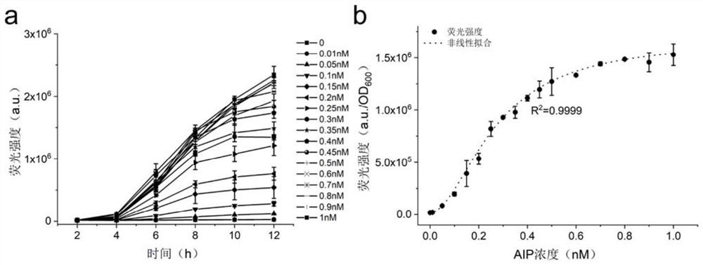 一种基于AIP诱导的生物传感器及其应用