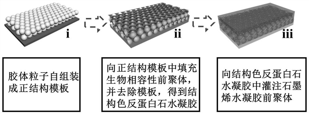 一种石墨烯结构色薄膜及其制备方法和应用