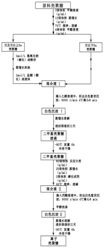 一种离子化壳聚糖及其制备方法和应用