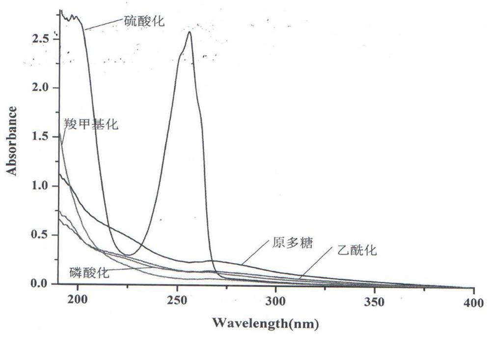 一种中亚白及多糖衍生物的制备方法和用途