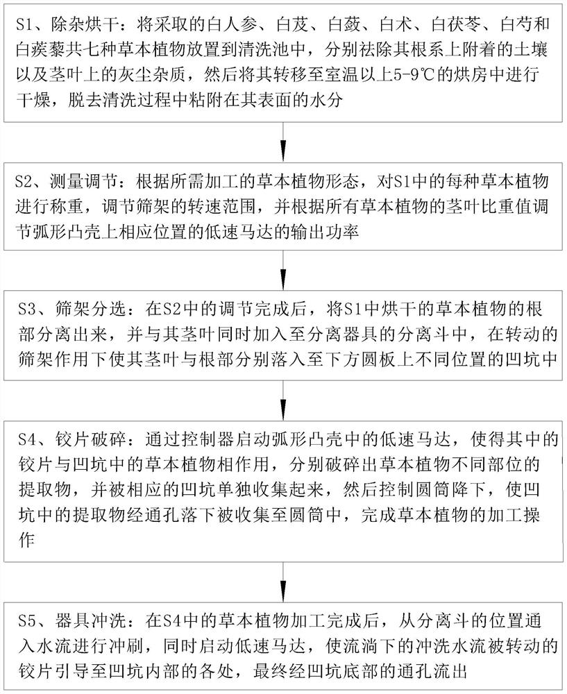 一种美白草本植物的加工方法