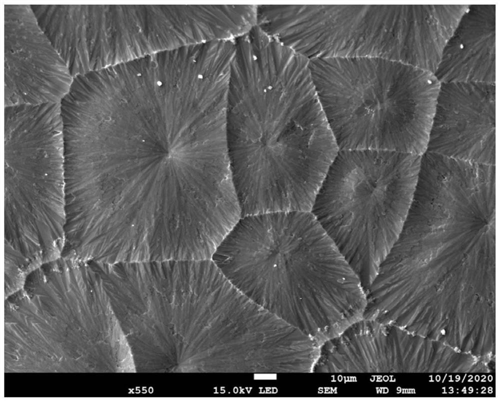 一种全空气大面积制备钙钛矿太阳能电池的方法