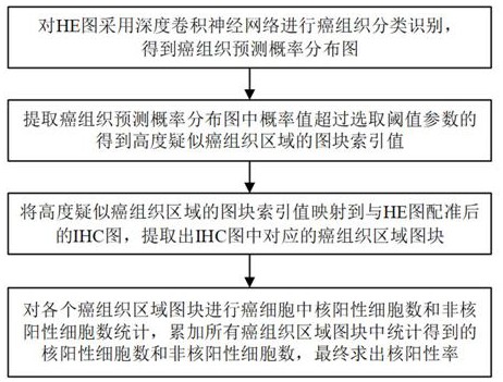 一种免疫组化图像核阳性的人工智能判读方法及系统