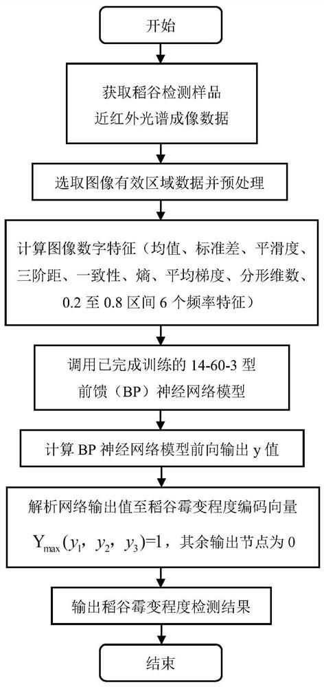 采用近红外光谱图像特征的水稻霉变程度检测方法