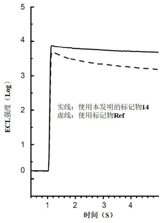 改进生物分析测定中的电化学发光信号的方法