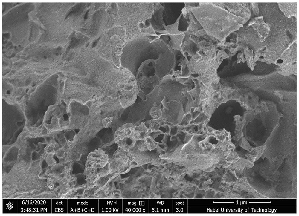 一种非贵金属修饰含氮生物质衍生碳的制备方法及其应用