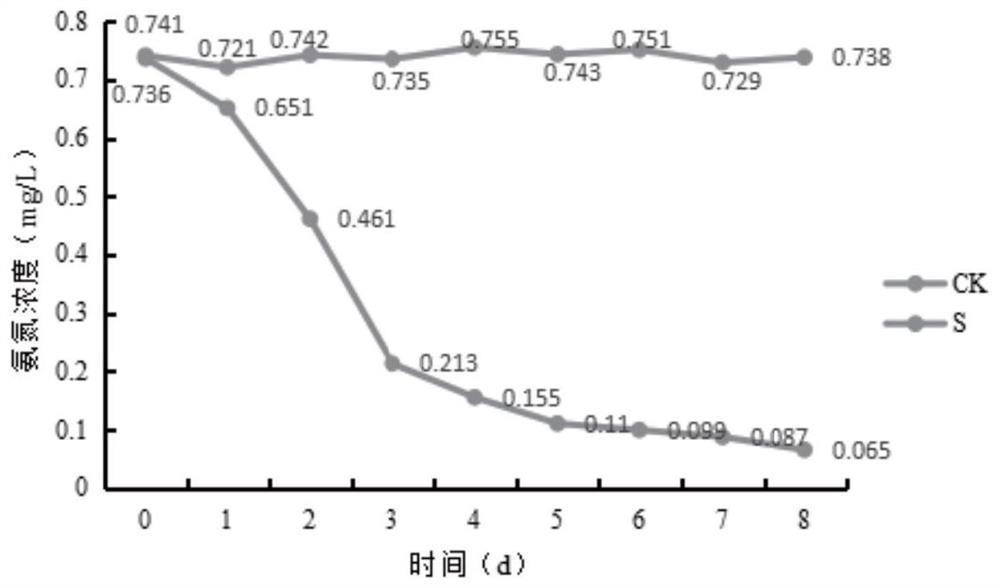 粪产碱杆菌在制备用于高效降解水产养殖水体中氨氮和亚硝酸盐氮的微生物菌剂中的应用