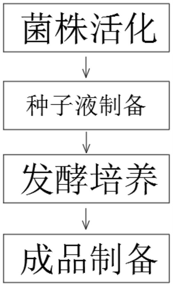 一种用于烟草根结线虫防治的坚强芽孢杆菌的发酵制备及应用