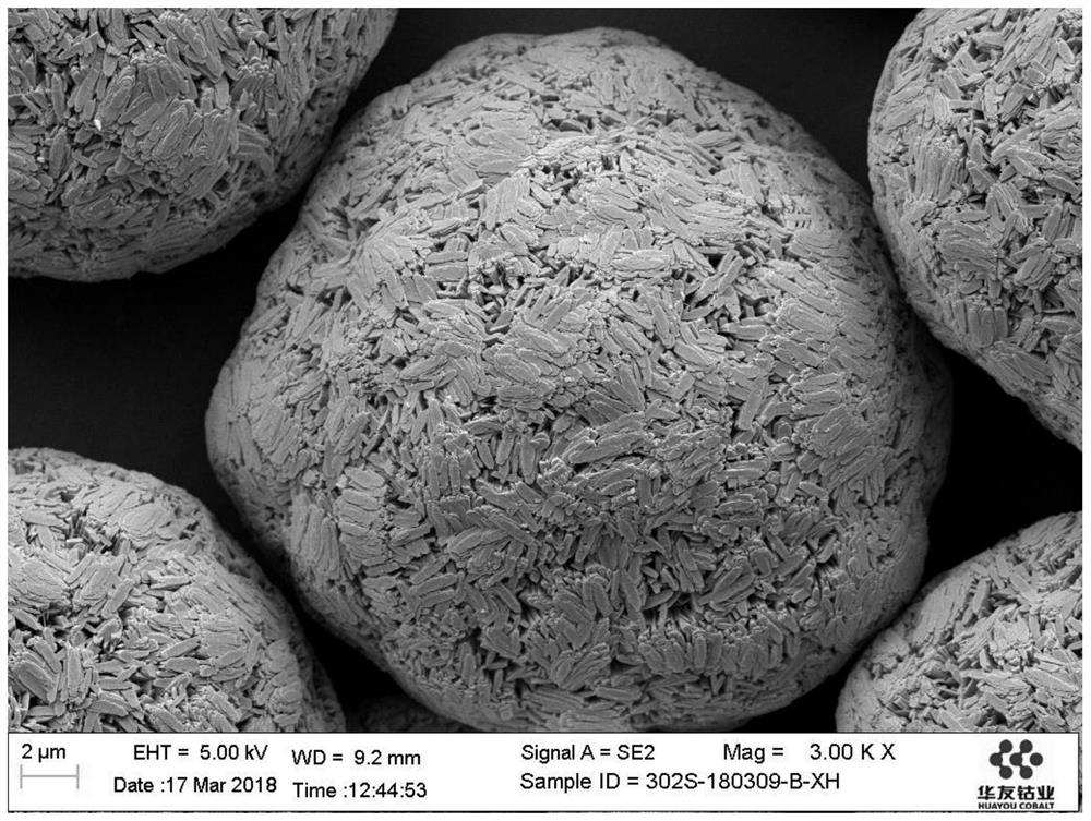 一种由超大单晶复合堆积而成的球形碳酸钴颗粒及其制备方法