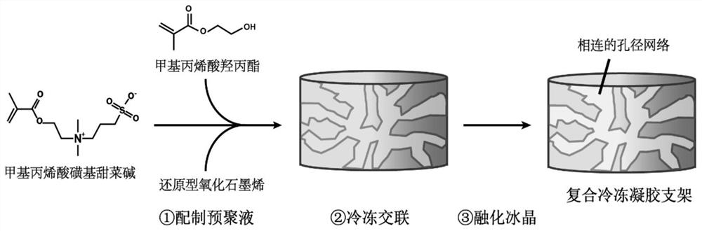 释放还原型氧化石墨烯的两性离子复合骨组织工程支架