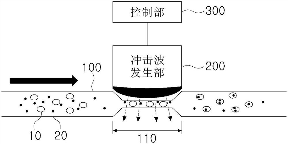 利用体外冲击波的目标物质传递装置