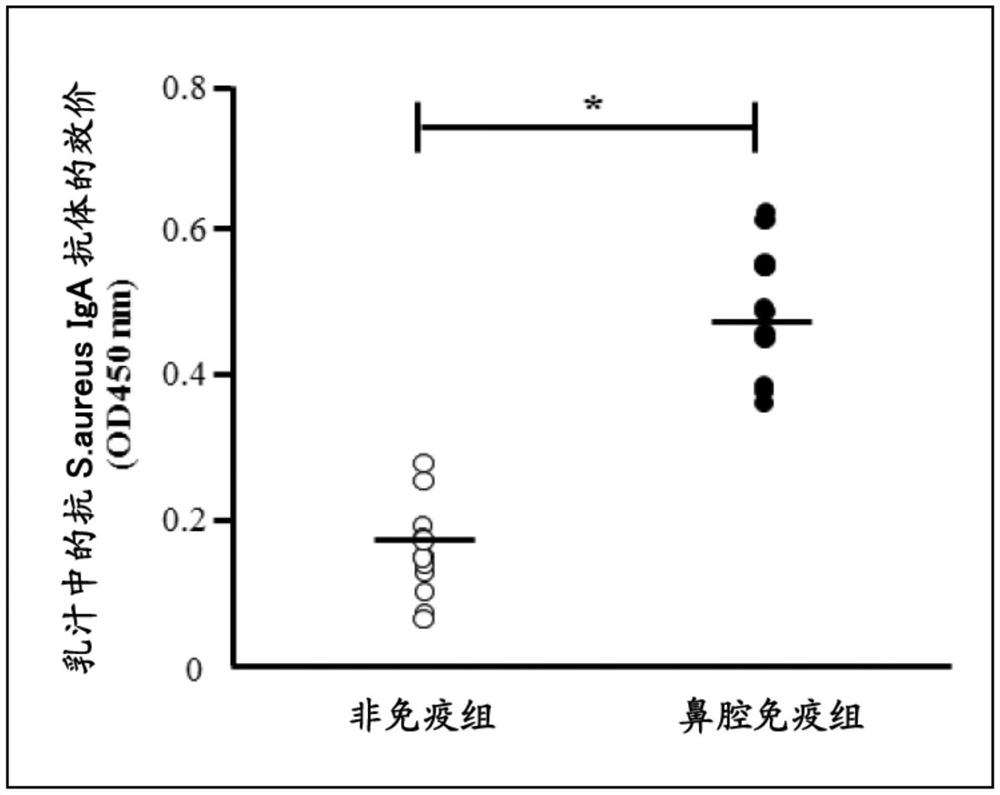 针对牛乳腺炎的粘膜疫苗组合物