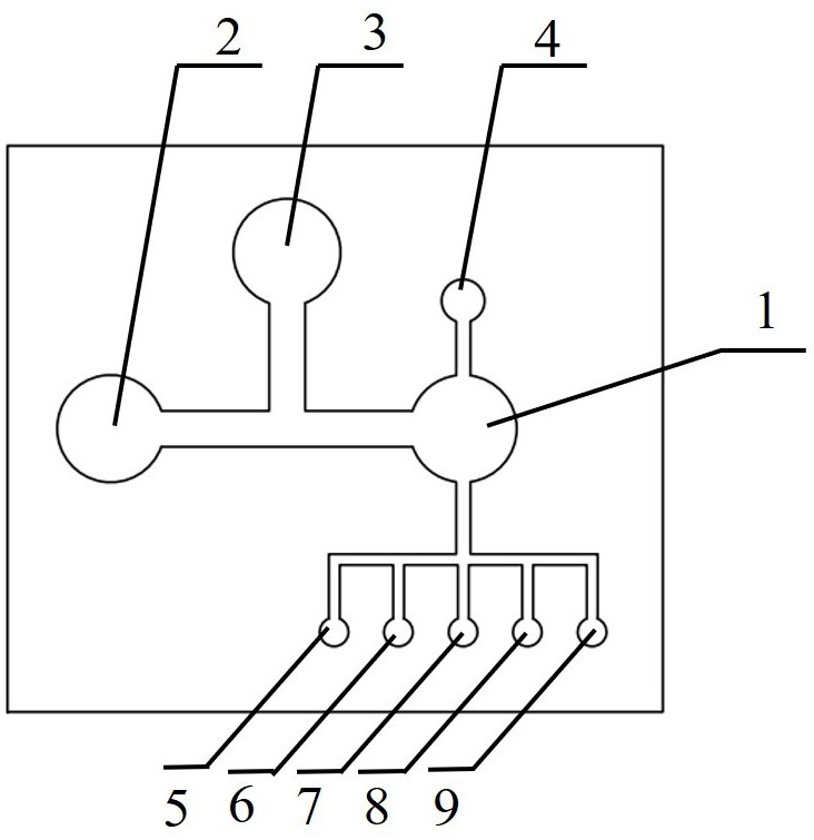 一种压电增强型微流控光电化学传感器的制备方法
