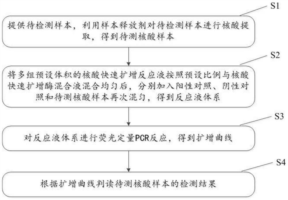 用于新型冠状病毒检测的引物探针组合、试剂盒及方法