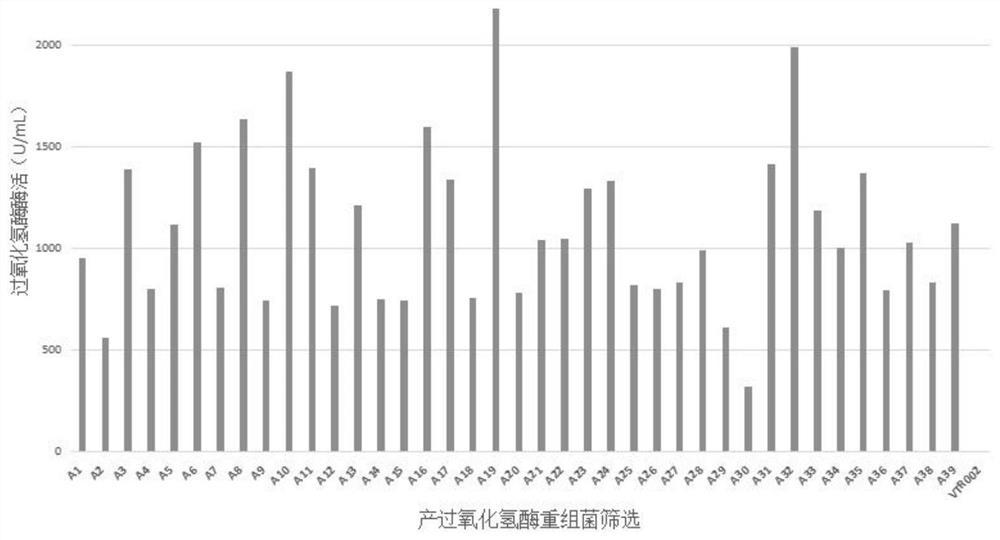 高酶活的过氧化氢酶、基因以及高产过氧化氢酶的重组菌株和应用