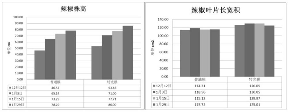 一种可降解转光薄膜及其制备方法和应用