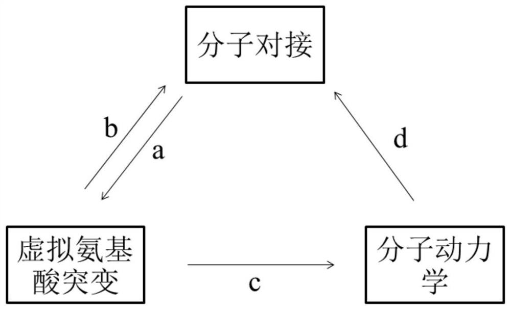 一种分子模拟石房蛤毒素特异性多肽的筛选方法及应用