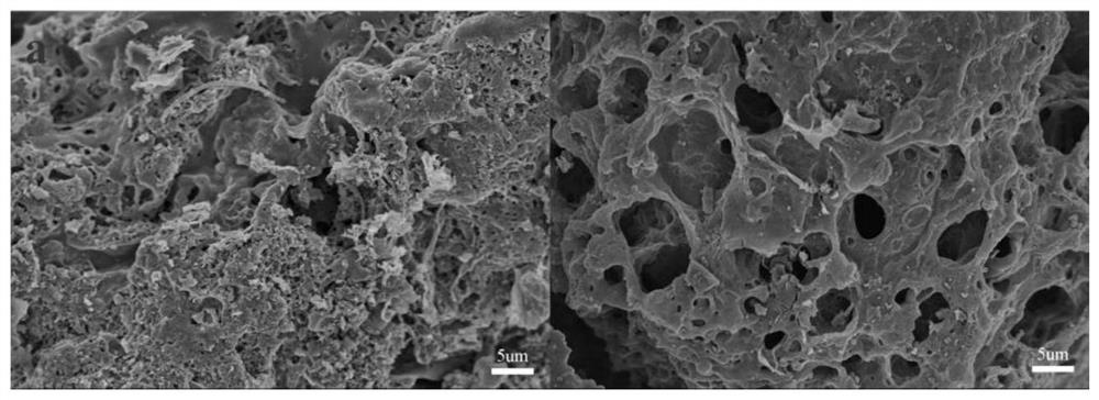 一种生物质全组分热解制备高性能炭基电极材料的方法