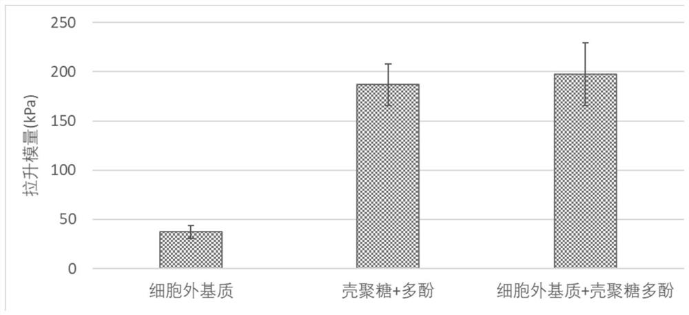 一种组织特异性伤口敷料及其制备方法和应用