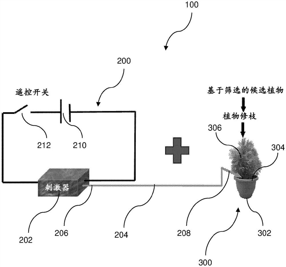 用于从植物中产生空气负离子的装置和设备