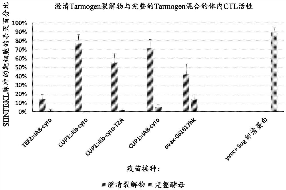 用于诱导细胞免疫应答的重组酵母裂解物