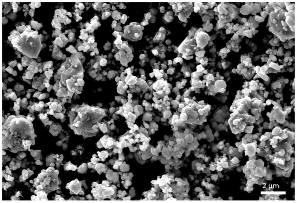聚合物复合磷酸铁锂正极材料及其制备方法