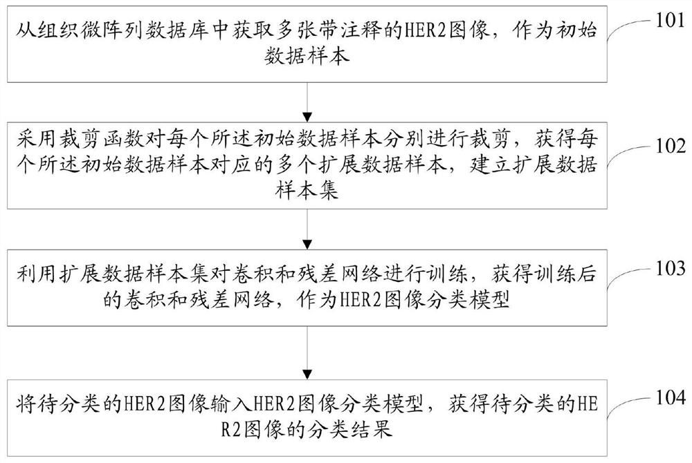 一种基于卷积和残差网络的HER2图像分类方法及系统