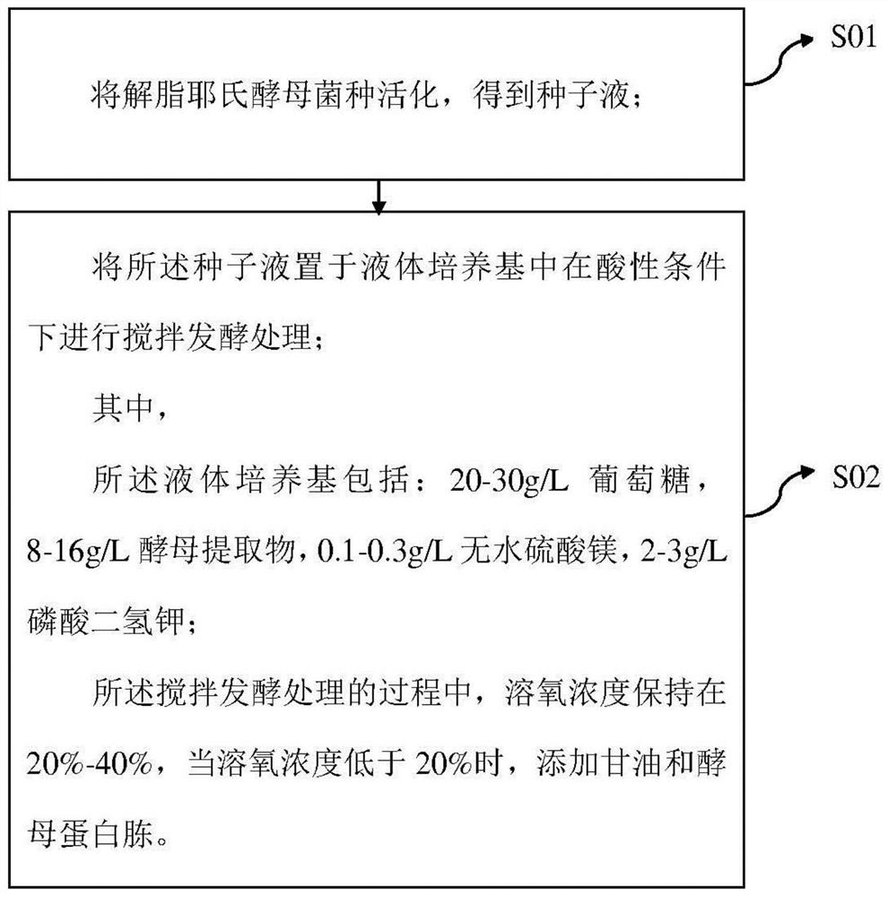 基于解脂耶氏酵母的发酵方法、发酵液及发酵液的应用