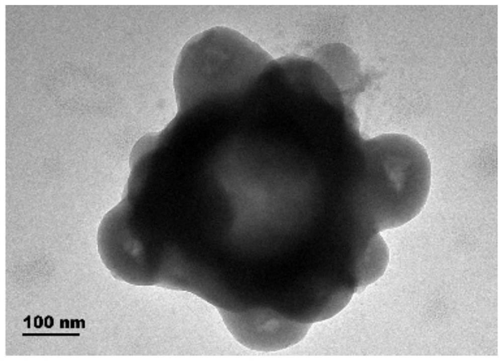 氮化硼量子点修饰纳米环状磁性氧化石墨烯复合光催化材料及其制备方法和应用