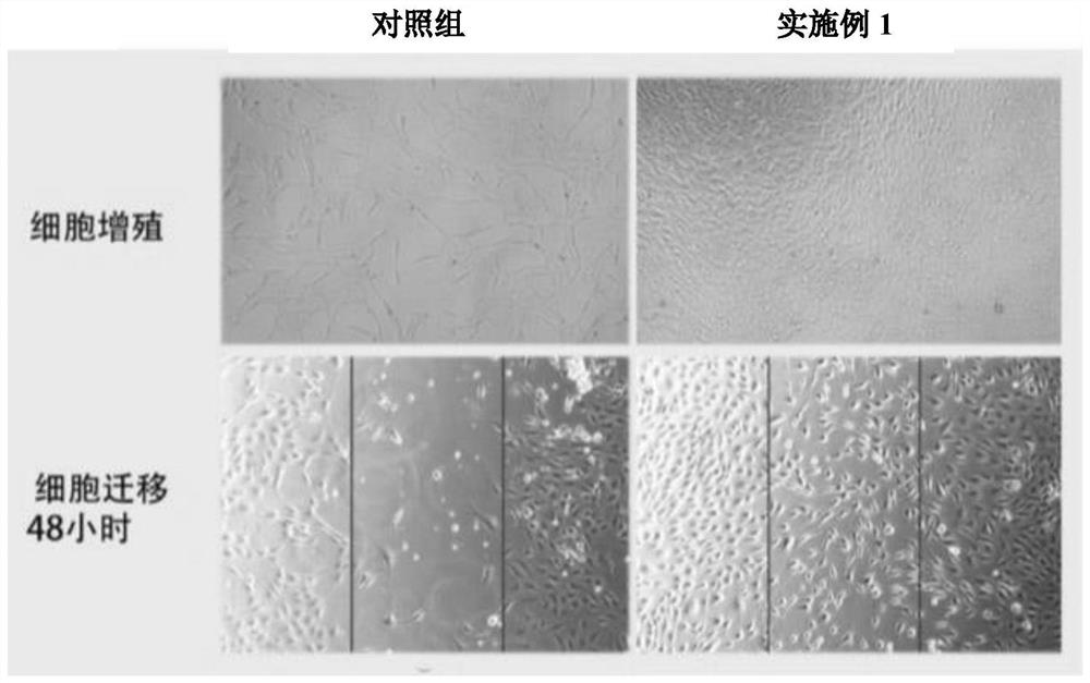 一种含鹿茸活性物质的保湿美容面膜、制备方法及应用