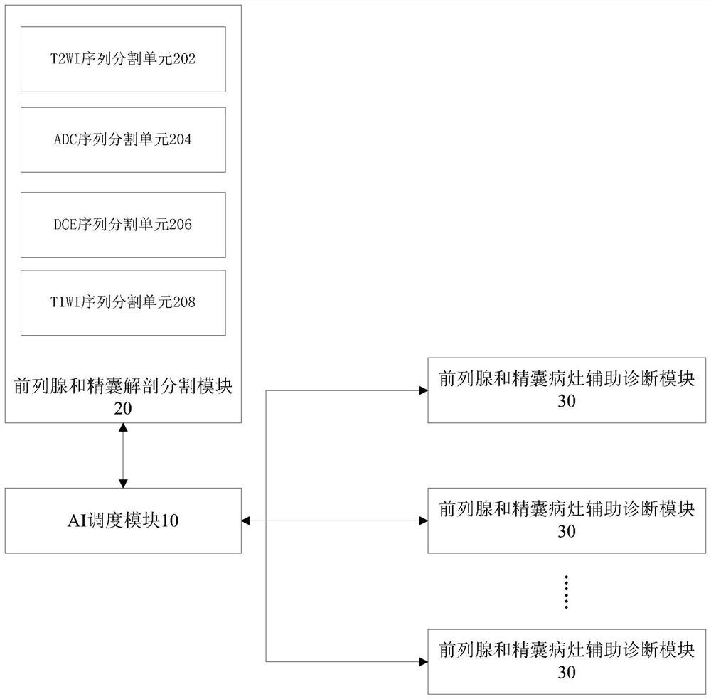 在mpMRI上分割前列腺和精囊分带解剖的系统及方法