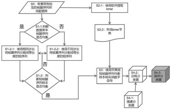 构建对核酸序列进行分类的模型方法及其应用