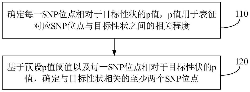 数据关联分析方法、装置、电子设备及存储介质