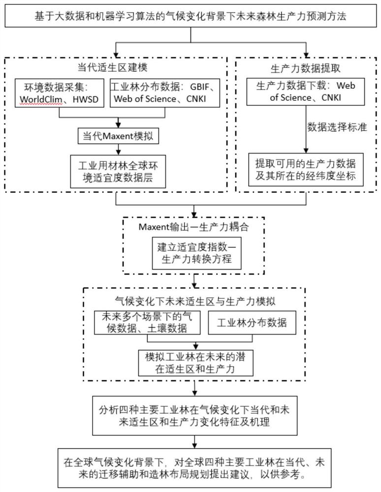 基于物种分布和生产力耦合的工业用材林生产力预测方法