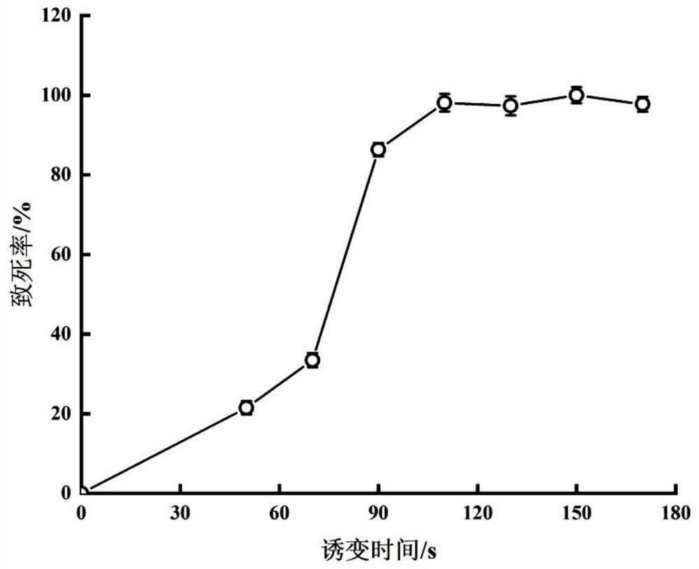 低产乙醛啤酒酵母菌株的高效选育方法