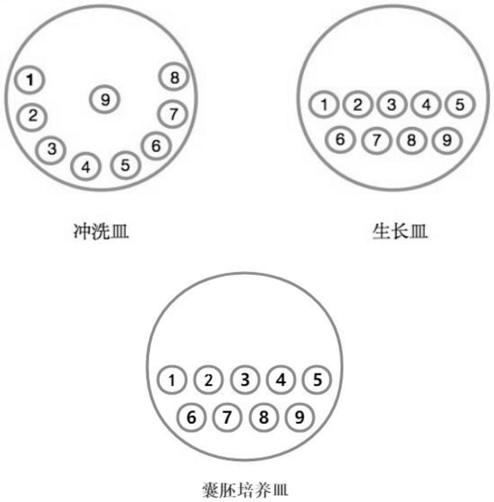 一种收集IVF-ET患者胚胎培养液的方法及其应用