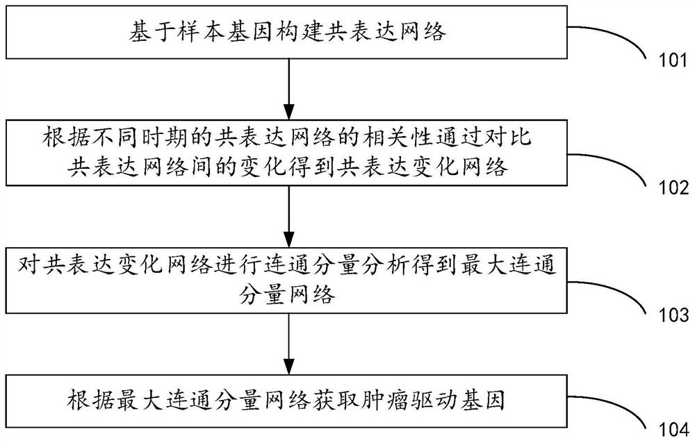 肿瘤驱动基因识别方法及装置