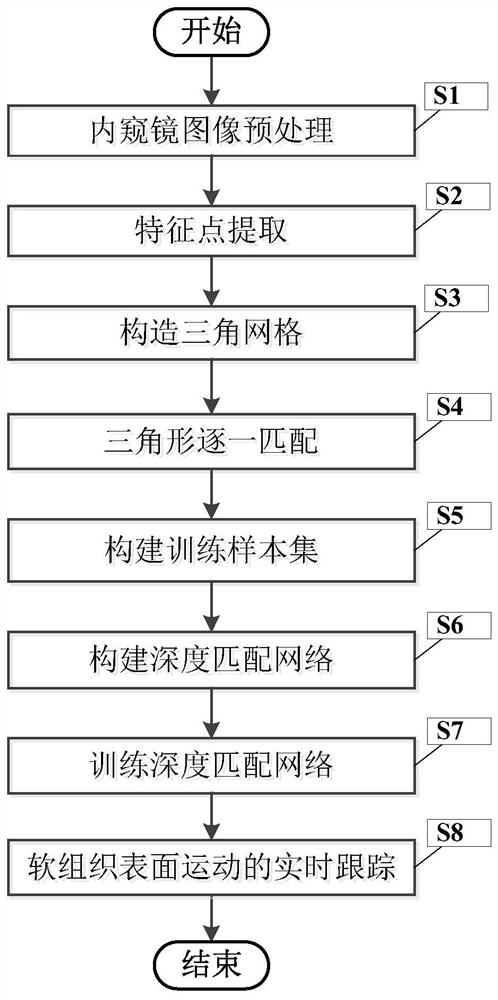 一种基于深度特征学习的软组织表面运动跟踪方法