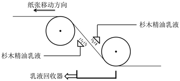 一种杉木香书画纸及制备方法